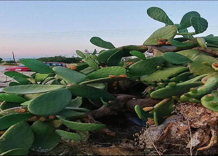 Matina Paros Naoussa