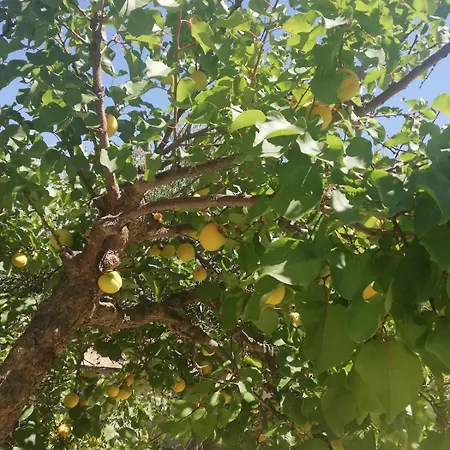 Matina Paros נאוסה