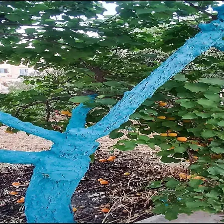 Matina Paros Apartamento *