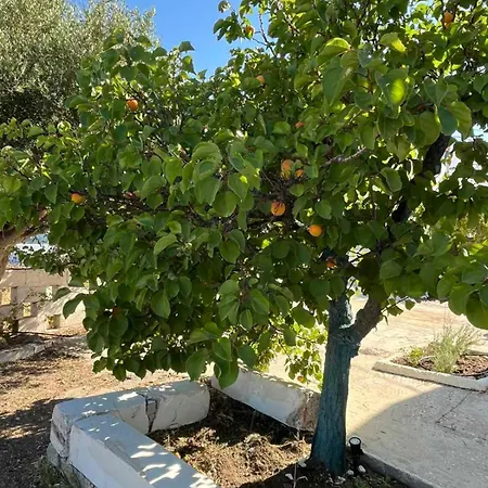 Matina Paros Naousa