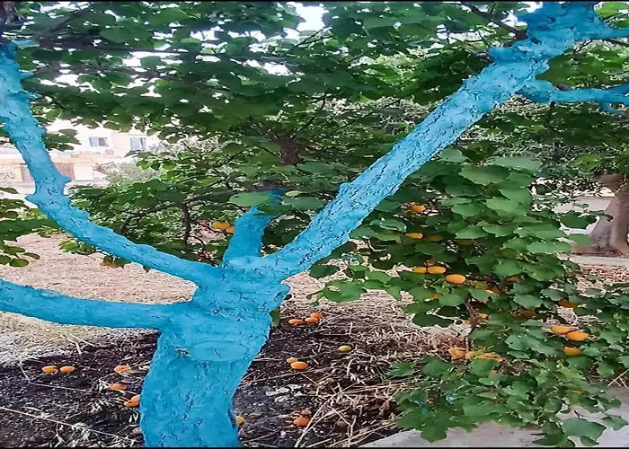 Matina Paros Apartamento *